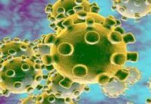 ಕಲಬುರಗಿಯಲ್ಲಿ ಹೆಚ್ಚಿದ ಕೊರೊನಾ ಇಂದು ಹೊಸದಾಗಿ 14 ಪ್ರಕರಣಗಳು